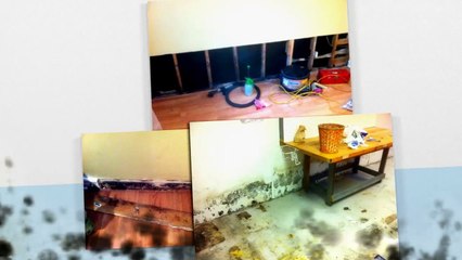 Asbestos and Mould Removal in Toronto - Air Doctors Inc