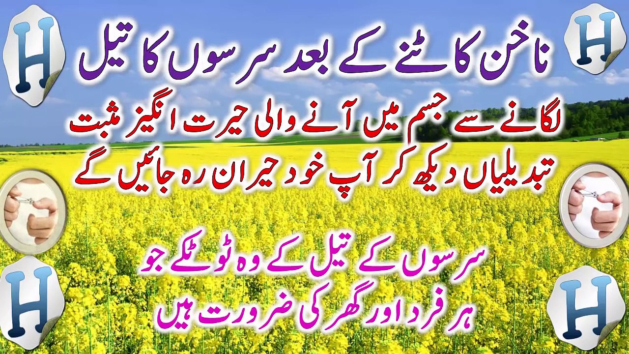 Mustard Oil Benefits -- Sarson Ke Tel Ke Fayde -- Health Tips, Beauty Tips And Desi Totkay In Urdu