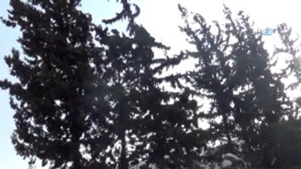 İskenderun'da Şiddetli Fırtına Hayatı Olumsuz Etkiliyor