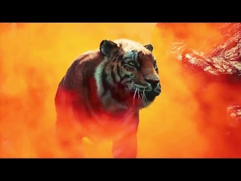 Far Cry 4 - Tout savoir sur le jeu !