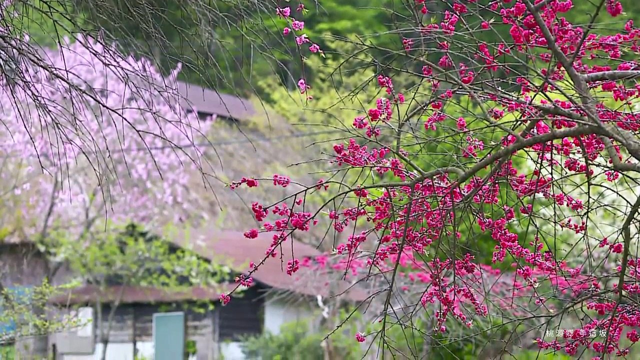 Natural Beauty AKITA -八森いさりび温泉