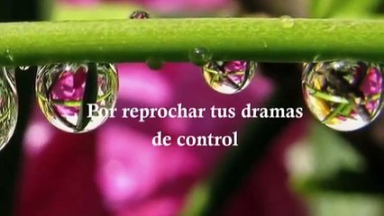 LO SIENTO, PERDONAME, GRACIAS, TE AMO - PROSPERIDAD UNIVERSAL