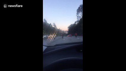 Biker gang assault driver on highway in San Francisco