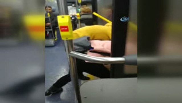 Yağmurdan Kaçan Sokak Köpeği Belediye Otobüsüne Böyle Sığındı