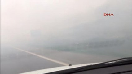 Iskenderun Otoban Kenarında Orman Yangını