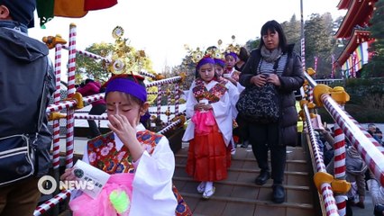 [Nyûsu Show] Le Daruma-Ichi Festival