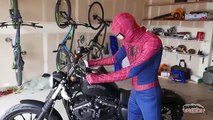 Человек-паук против Черного паука и Годзиллу / Т-Рекс мотоцикл вор | реальной жизни супергероя М