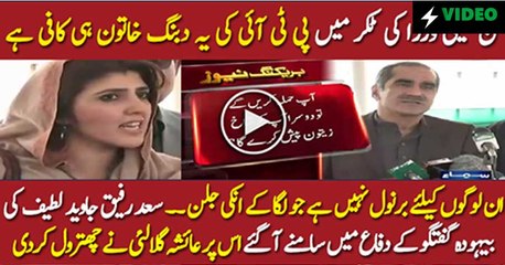 Dabang words fighting between PTI vs PMLN