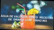 ÁGUA DE VALÊNCIA: CINCO  RECEITAS  DE  DRINKS  COM  VINHO  #03