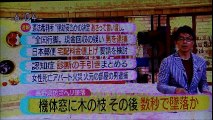 2017.03.08　NHK ほっと ニュース 北海道　【 北海道／日本からの自由と真実の声】