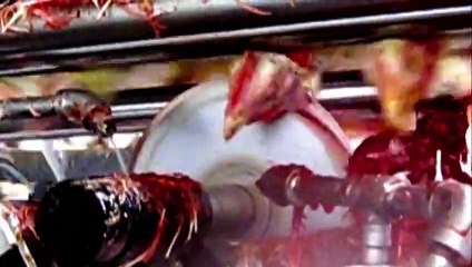 Quand les jeunes de la face cache de l industrie agro-alimentaire