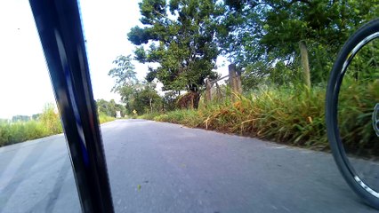 4k, ultra hd, trilhas de ecoturismo,  Bairro Morro Grande, Tremembé, SP, Marcelo Ambrogi, Brasil