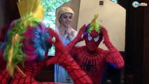 Замороженные Эльза парикмахерская ж/ Человек-Паук, Халк, забавные Джокер Супергерои кино в реальной жизни