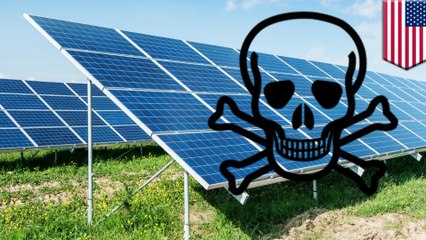 Solar panel production is causing rise of potent greenhouse gas