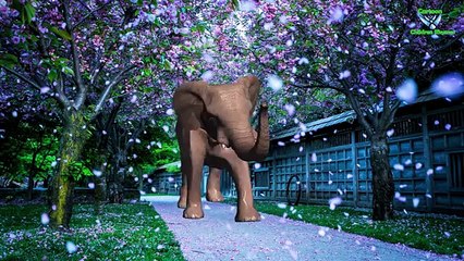 Elephant Finger Family | 3d Collection Children Nursery Rhymes