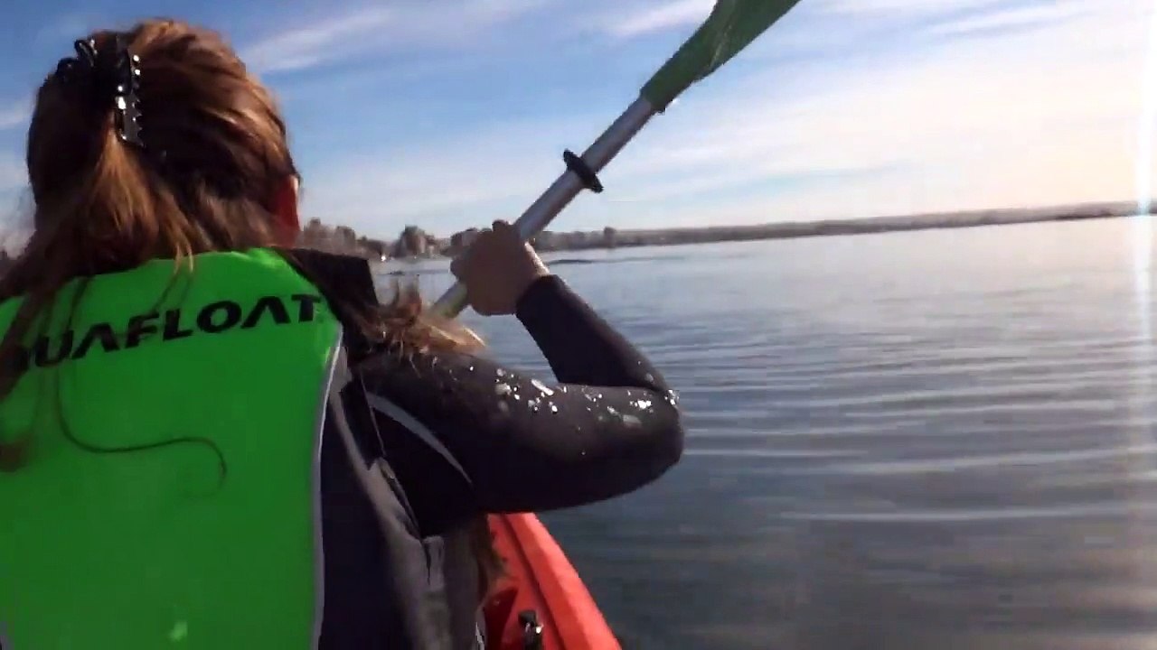 Ces deux kayakistes se sont approchés d'un peu trop près d’une baleine... Regardez