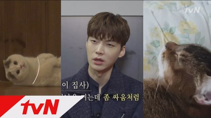 집사 재현이 소개하는 안구네 고양이 서열! #제보영상