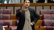 Murad Saeed speech in National Assembly of Pakistan before scuffle with Javed Latif