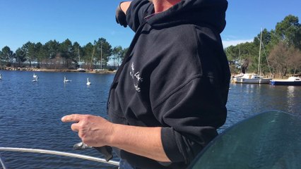 Lâcher de sandres dans le lac de Lacanau