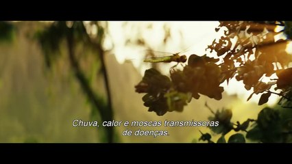 Kong: A Ilha da Caveira - Trailer Oficial 3 (leg) [HD]