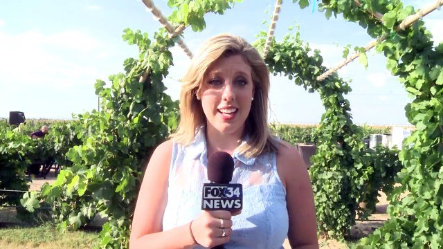 Il attend le jour de leur mariage pour révéler à sa future femme un énorme secret qu’il cachait depuis toujours