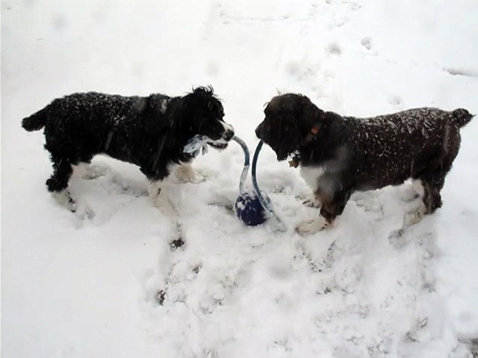 March snow play