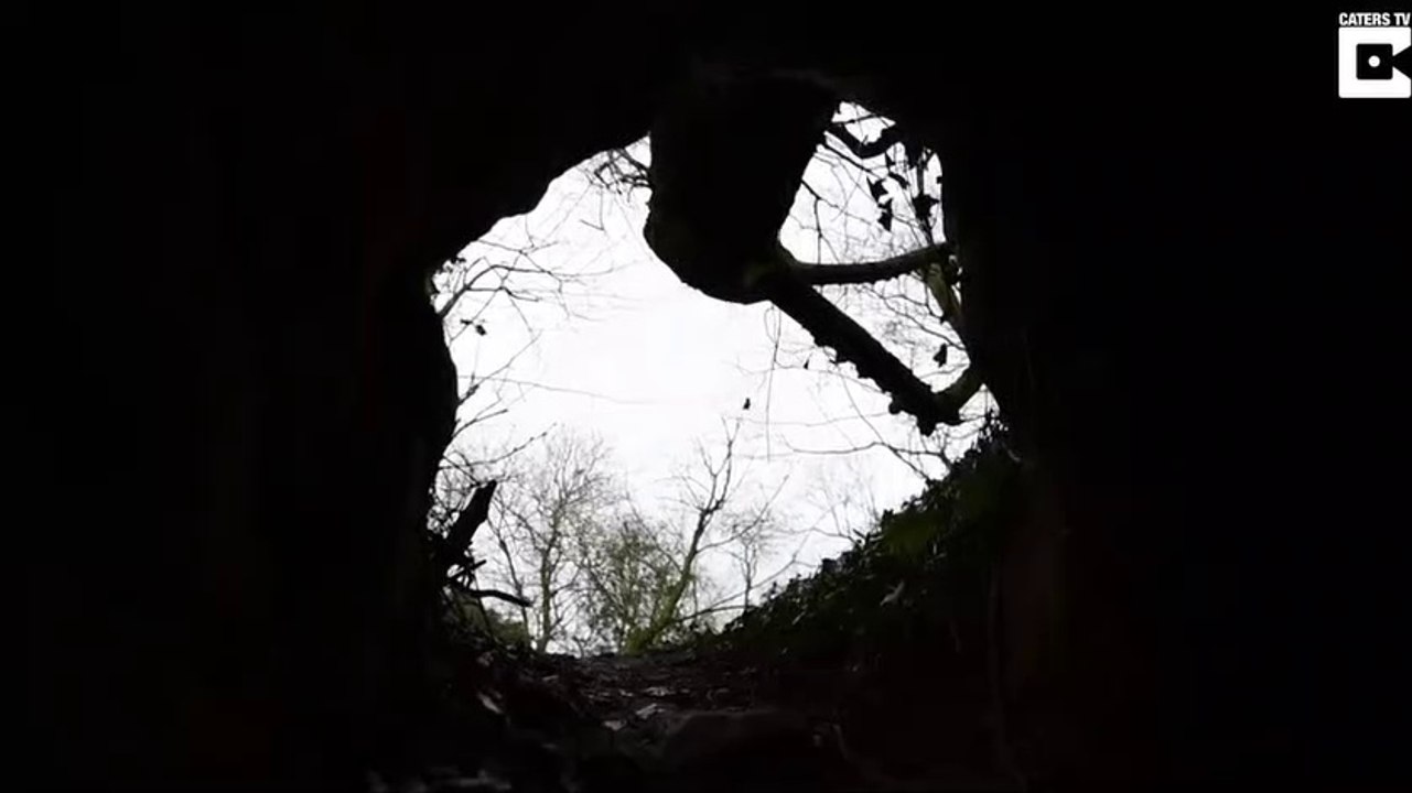 Découverte de tunnels secrets datants des Templiers découverts au fond d'un terrier