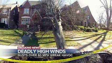 Скачать видео: Cruise ship’s frightening close call with a Ft. Lauderdale home captured on video