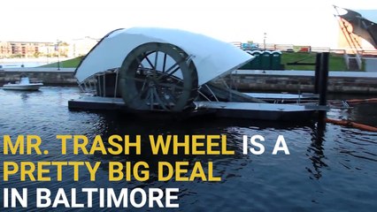 Mr. Trash Wheel Is The Cutest Solution To A Serious Problem