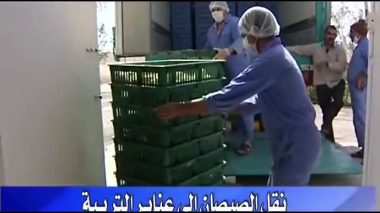 Intelligent Technology Smart Farming - Automatic milking machine, Collecting Eggs and Feeding