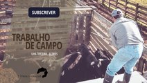 TRABALHO DE CAMPO | Quinta do Machado