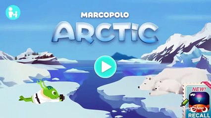 Learn Arctic Animals Sounds & Habits Baby Kids Learn Animals #2!