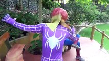 Pink spidergirl and Spiderman catch pokemon go! Captain, Batman - Funny superheroes real l