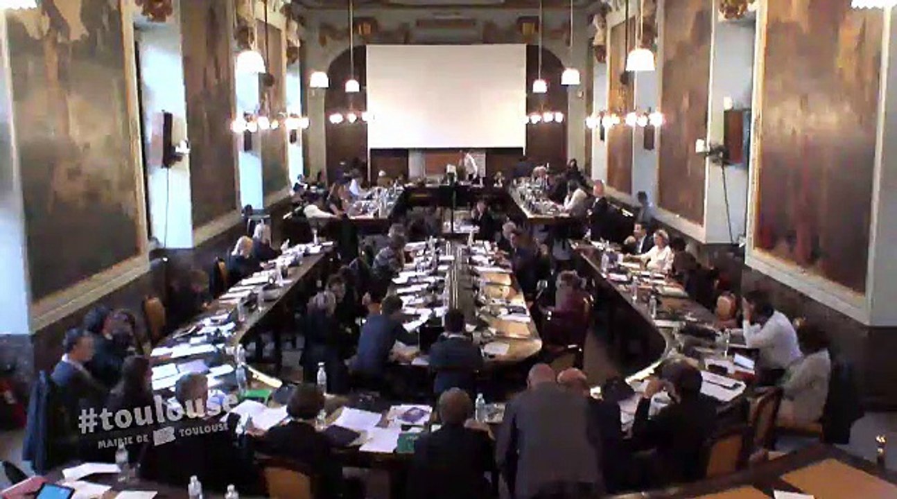 Conseil municipal du 10 mars 2017 - Intervention de Régis Godec sur La Mounède