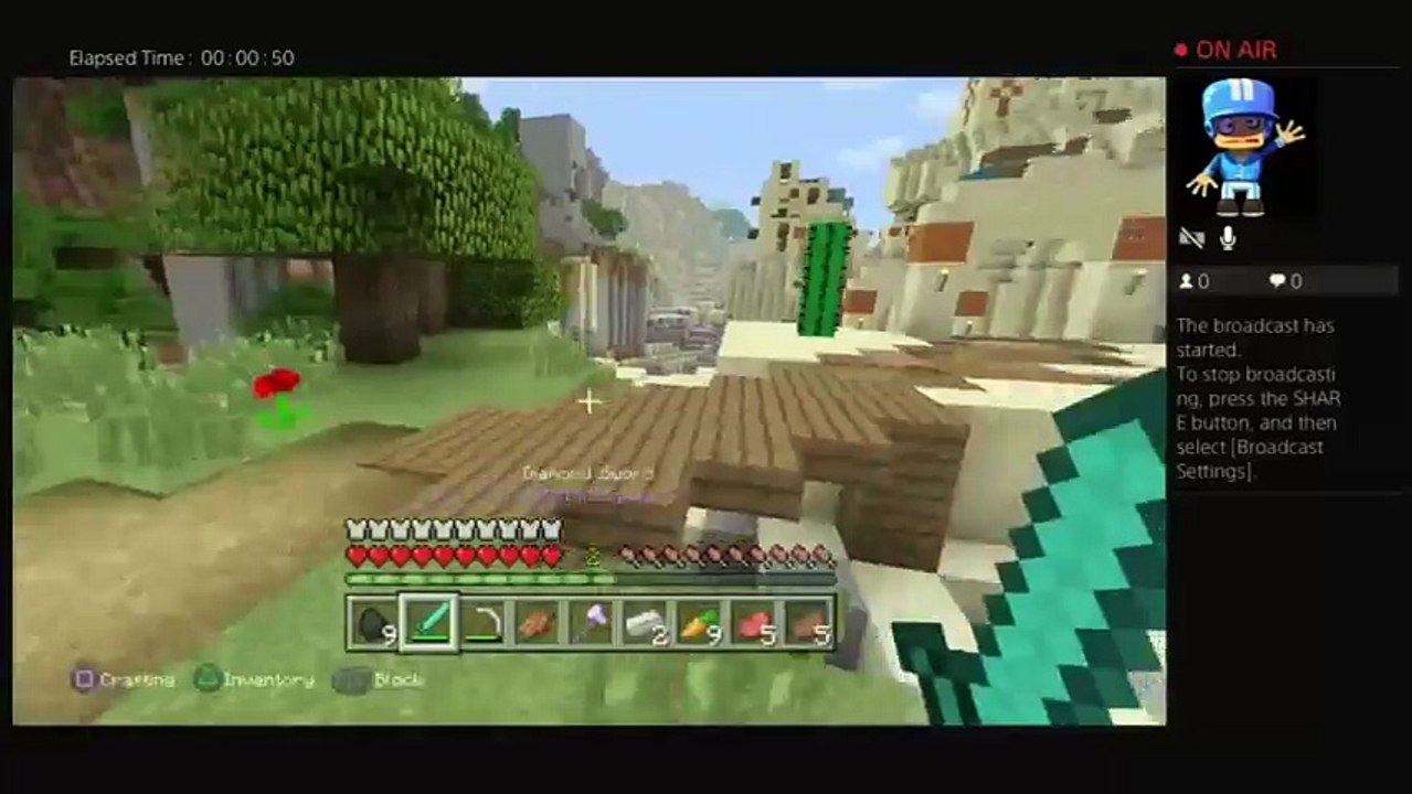 Minecraft #2 (the temple of the unknown) (5)