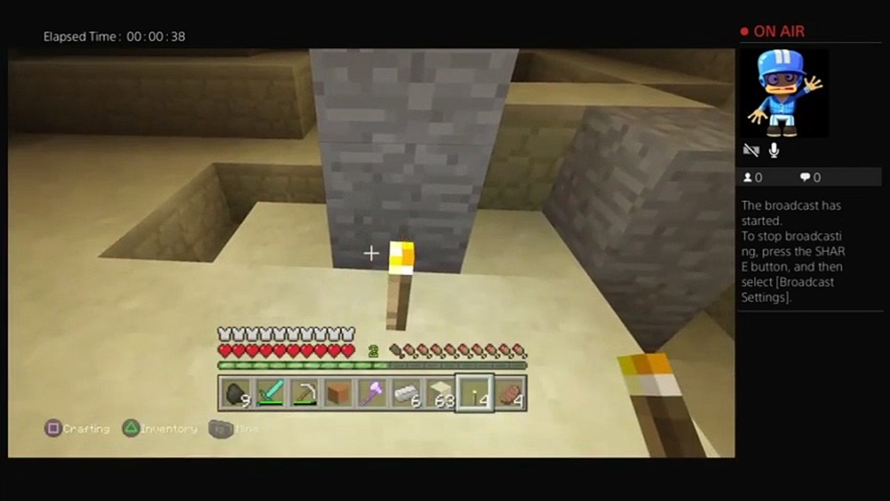 Minecraft #3 (lost but not dead) (6)