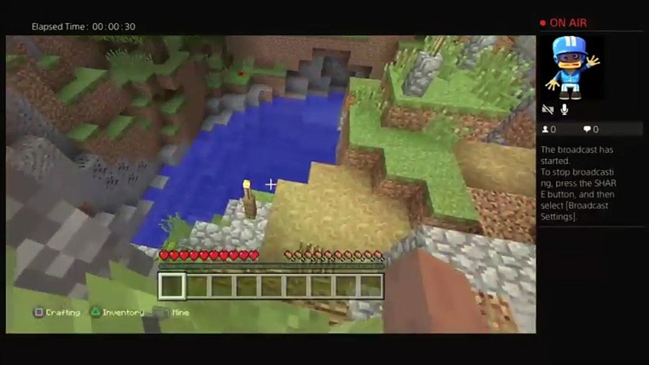 Minecraft #4 (the end) (7)