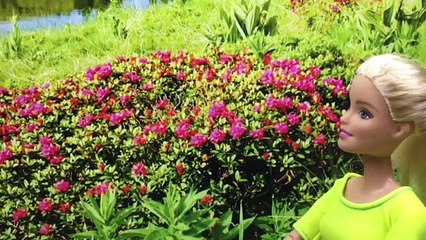 Barbie Ailesi 16. Bölüm || Türkçe Barbie Videoları İzle