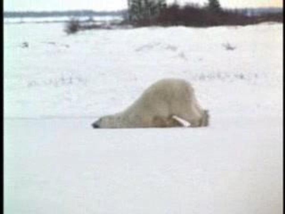 Wie man Montags zur Arbeit geht