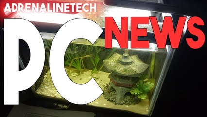 What You Can Expect To See This Year - PC VIDEOS