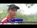 Kebakaran Hutan dan Lahan Kembali Terjadi di Pontianak - NET 5