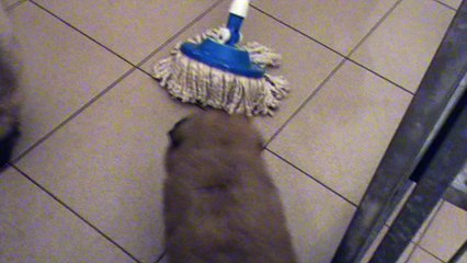 2017.03.09 Découverte