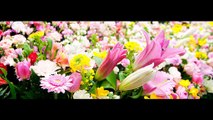 2011.3.11を忘れない…花は咲く