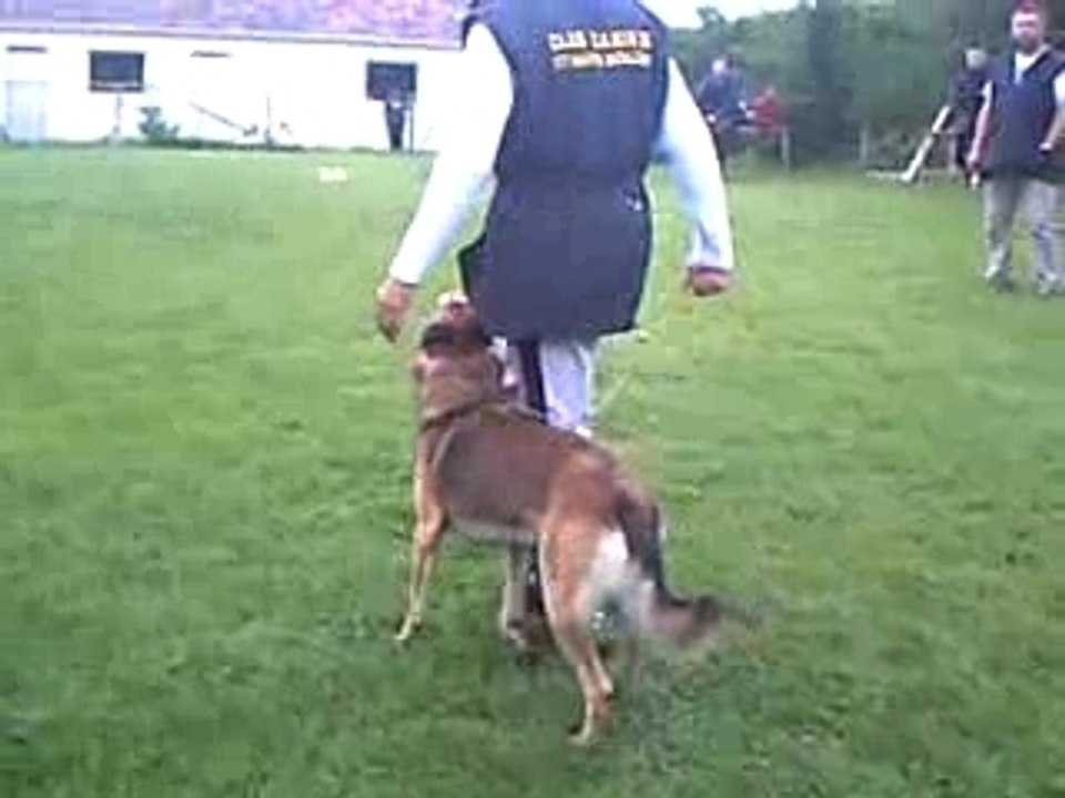 CLIP0005