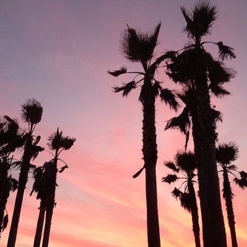 Walk The Proud Land, Bunny Wailer, Walk The Proud Land (Version), Solomonic All-Stars