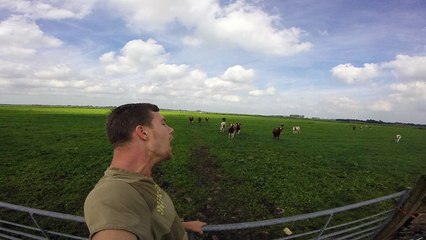 The Burping Cow Whisperer