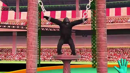 Superhero Dinosaurs Vs Crazy Gorilla Finger Family Songs Collection|Finger Family Rhymes f
