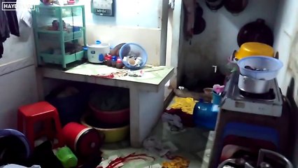 Kinh hoàng thanh niên đến ngủ với hoa có chủ và cái kết đẫm máu