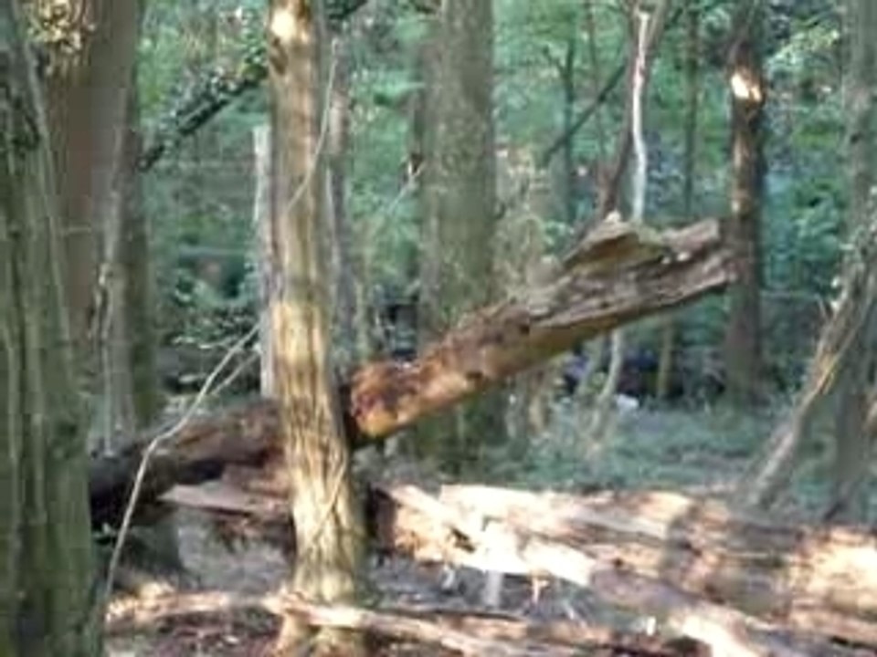 Airsoft - 22/09/2007