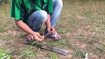 How to make a bird trap easy way